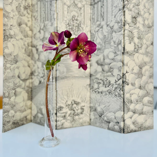 Piccolo paravento decorativo