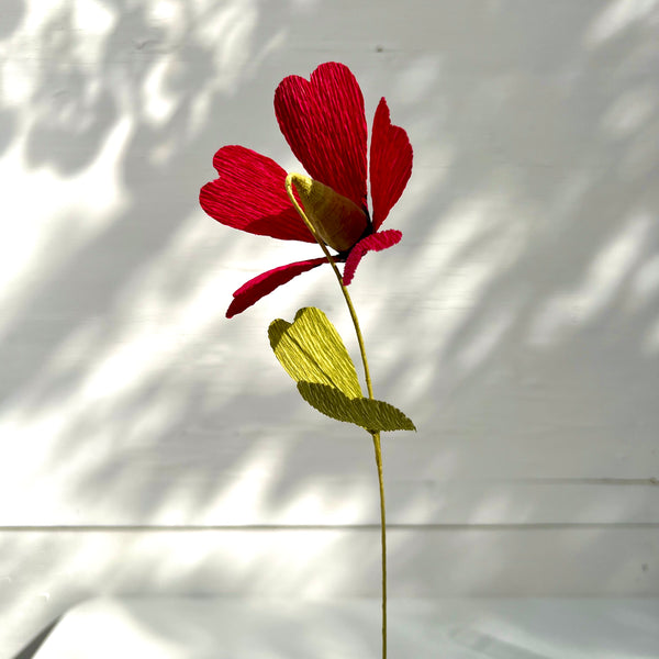 Fiore n. 1
