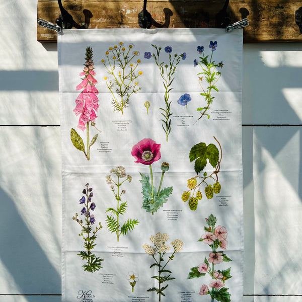 Coppia canovacci Erbe e Fiori