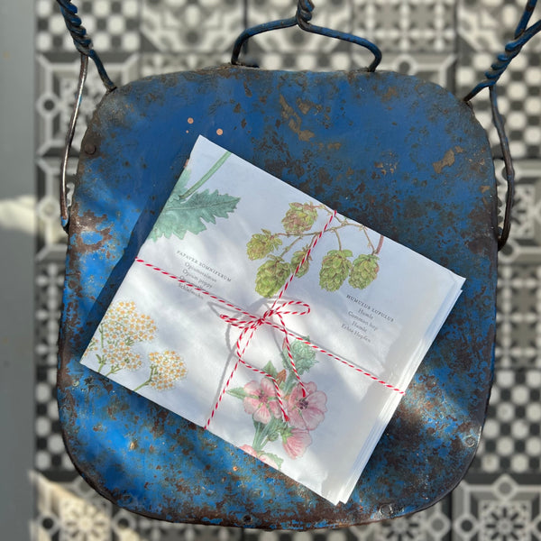 Coppia canovacci Erbe e Fiori