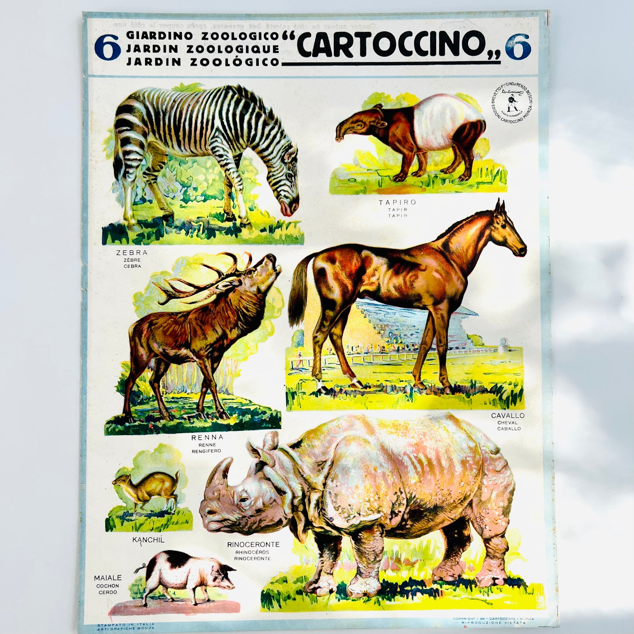 Giardino Zoologico Cartoccino - Tavola 6