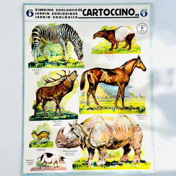 Giardino Zoologico Cartoccino - Tavola 6