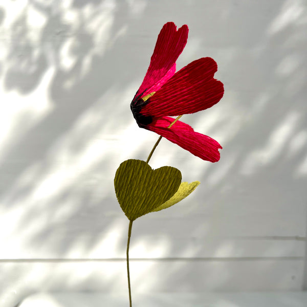 Fiore n. 1