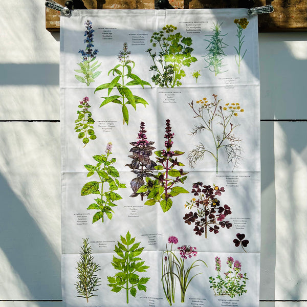 Coppia canovacci Erbe e Fiori