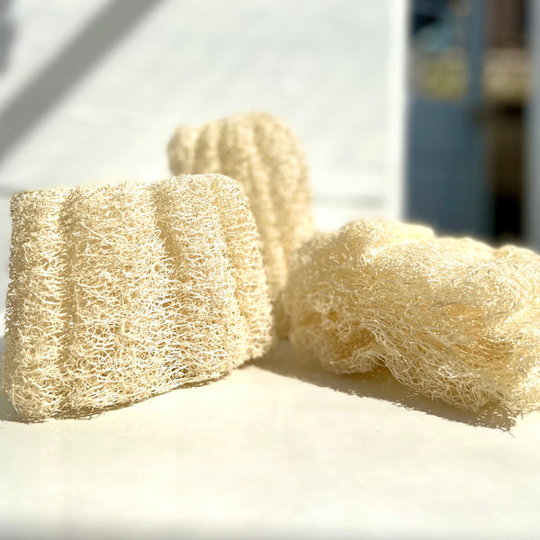 Loofah esfoliante